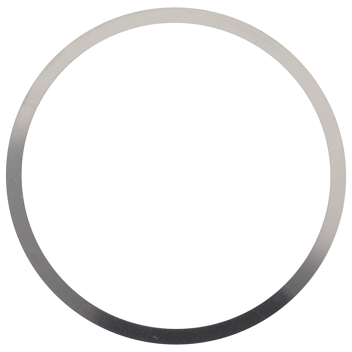 Bezel spring | 316-16800
