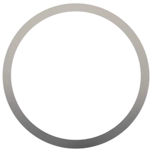 Bezel spring | 316-5512