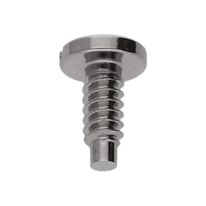 Screw for setting lever spring | 3035-55037